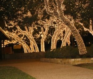 christmas lighting company 4