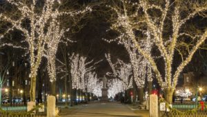 commercial christmas light installation add city 1