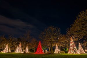 Night scene of a park with trees decorated for the holidays. Christmas lights in red and white adorn the trees, illuminating the dark sky and grassy lawn. Commercial Christmas light installation.