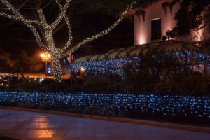 1 Commercial Christmas Light Installation Naperville IL 11