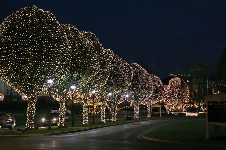 1 Commercial Christmas Light Installation Naperville IL 14