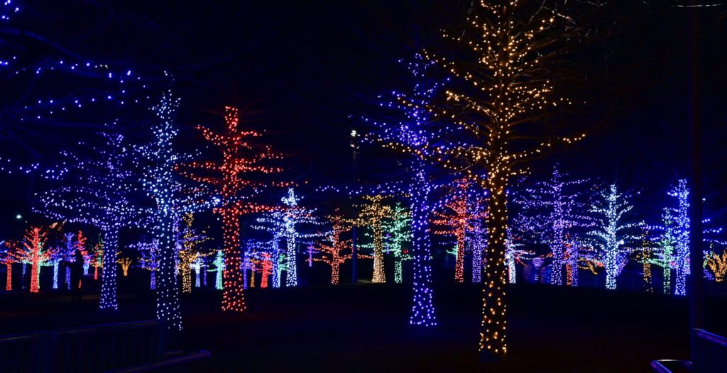 Trees adorned with colorful lights create a festive nighttime scene. Red, blue, yellow, and green lights illuminate the trees, enhancing curb appeal for a standout property.