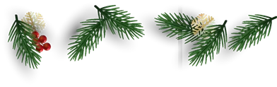 Three green fir sprigs with small tan pinecones and one cluster of red berries on a black background.